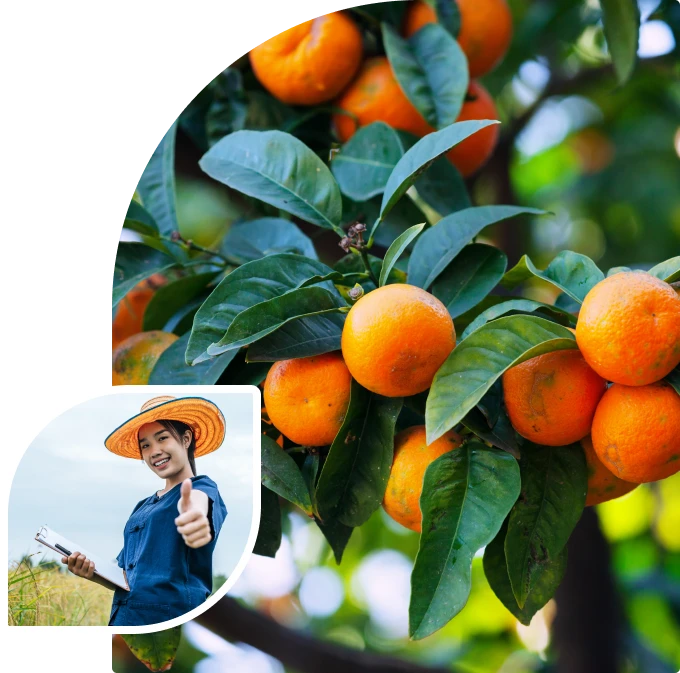 Lí Do Chọn Ymicha Lí Do Chọn Ymicha
