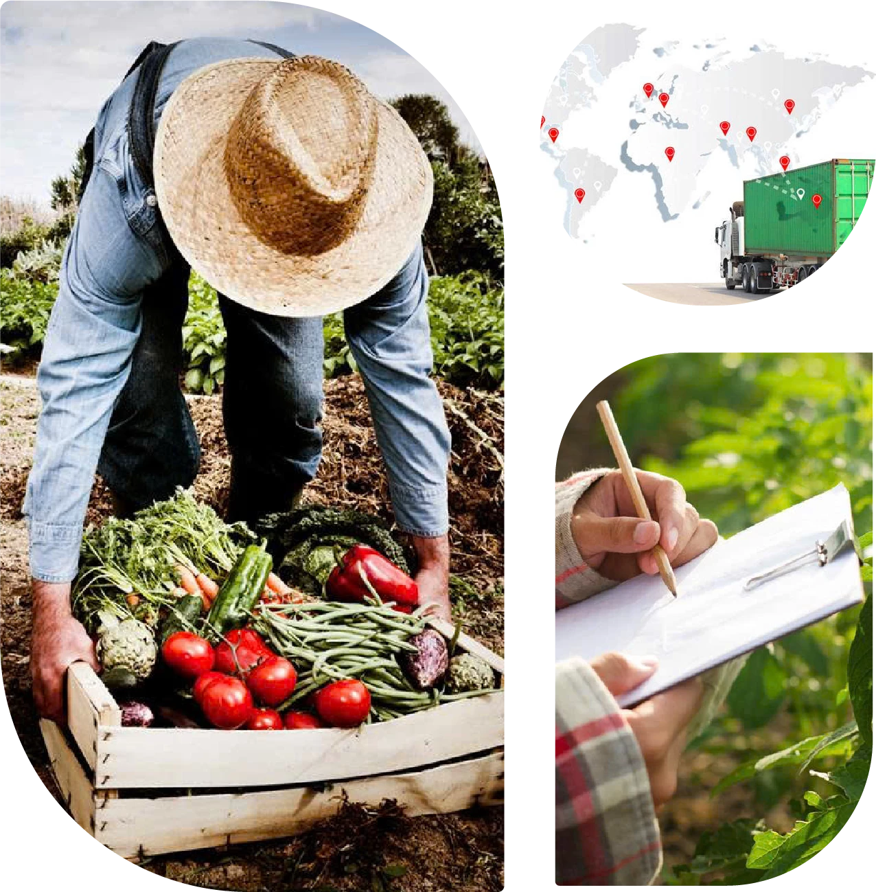 Giữ trọn hương vị nguyên bản của nông sản Việt Giữ trọn hương vị nguyên bản của nông sản Việt