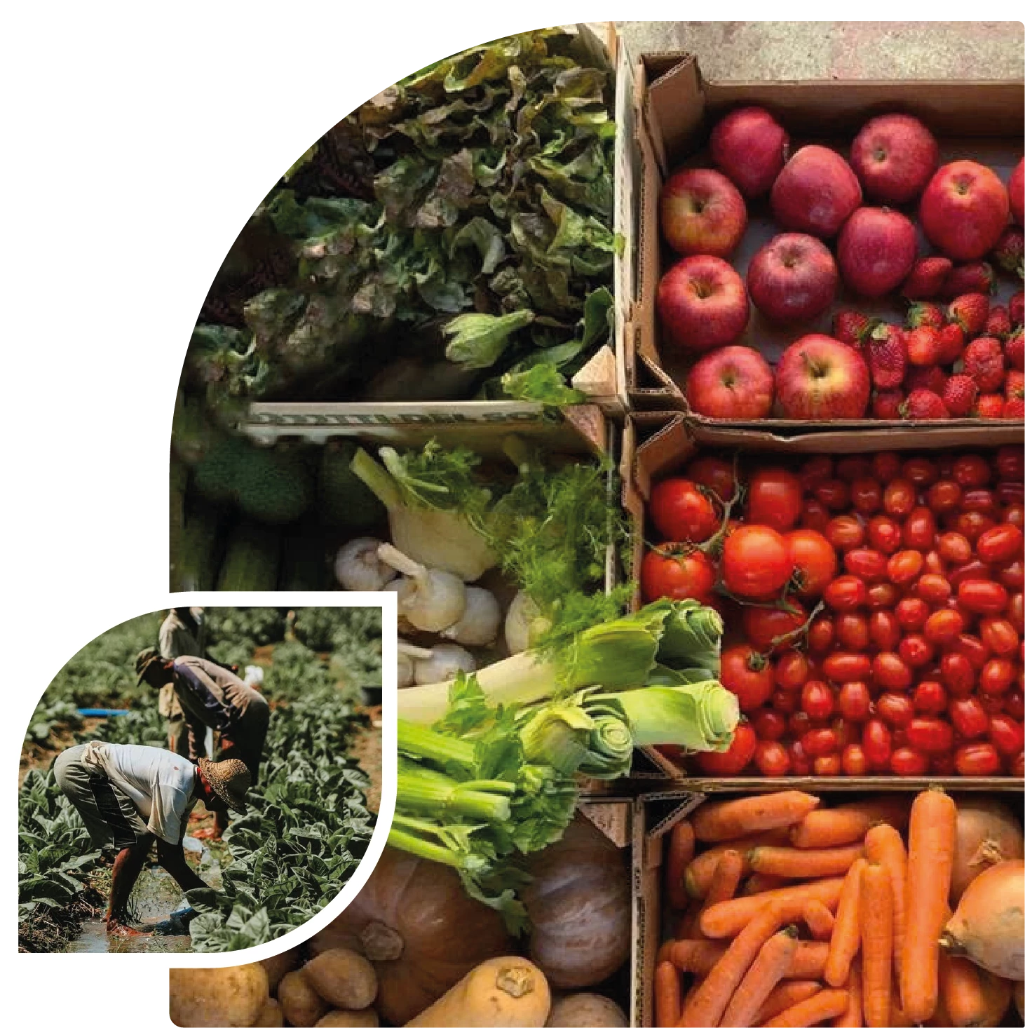 Lí Do Chọn Ymicha Lí Do Chọn Ymicha